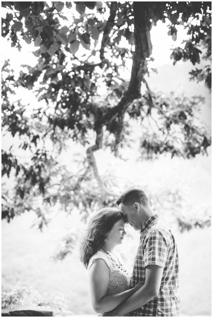 engagement photographers buffalo ny_0014